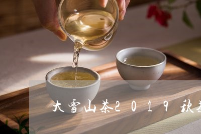 大雪山茶2019秋茶/2023071468162