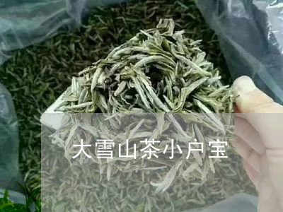 大雪山茶小户宝/2023042973666