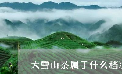 大雪山茶属于什么档次/2023071378572