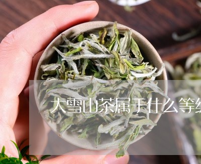 大雪山茶属于什么等级/2023071447071