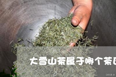 大雪山茶属于哪个茶区/2023092063816