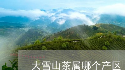 大雪山茶属哪个产区/2023042001615