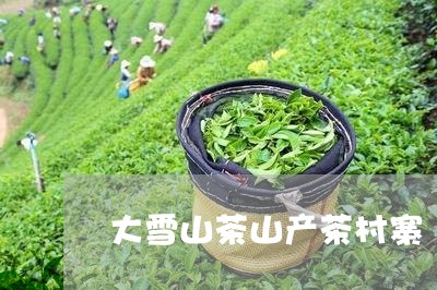 大雪山茶山产茶村寨/2023042082525