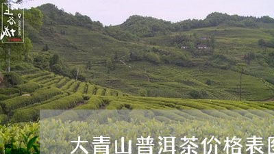 大青山普洱茶价格表图片/2023120763825