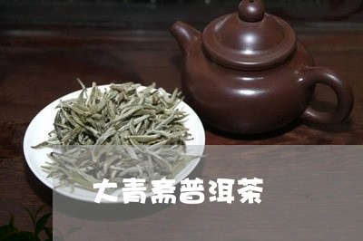 大青斋普洱茶/2023042714813