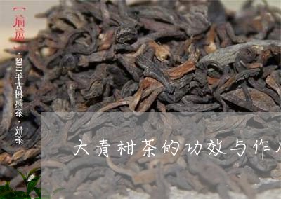 大青柑茶的功效与作用/2023092067370