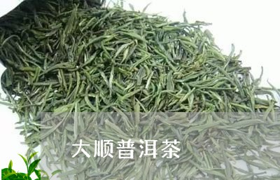 大顺普洱茶/2023090504938