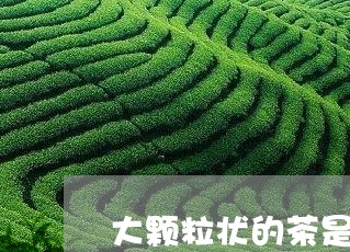 大颗粒状的茶是什么茶/2023060708602