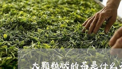 大颗粒状的茶是什么茶/2023071495268