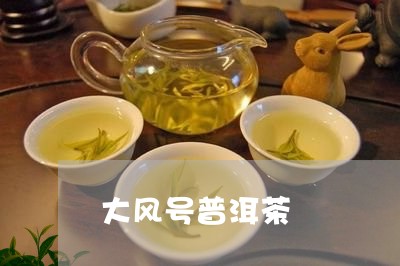 大风号普洱茶/2023042743227