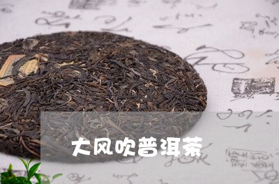 大风吹普洱茶/2023102594949