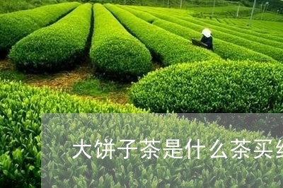 大饼子茶是什么茶买红茶什么牌子好/2023060417049