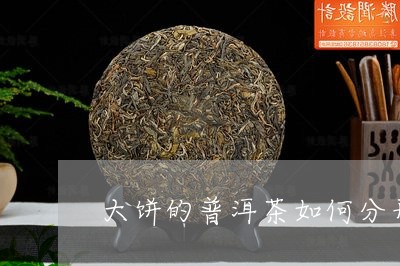 大饼的普洱茶如何分开/2023073150703