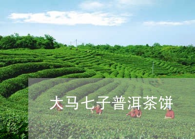 大马七子普洱茶饼/2023120499381