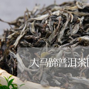 大马蹄普洱茶图片高清/2023082983827