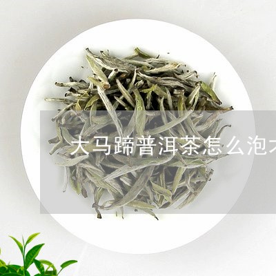 大马蹄普洱茶怎么泡才好喝/2023082909491