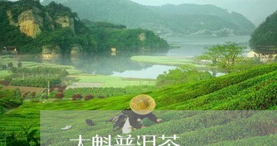 大魁普洱茶/2023102592512