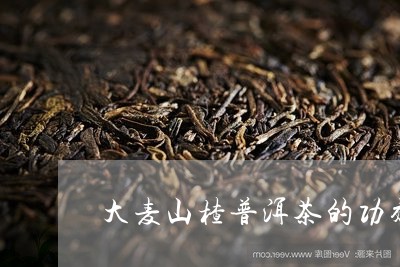 大麦山楂普洱茶的功效/2023062740694