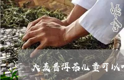 大麦普洱茶儿童可以喝么/2023122068270