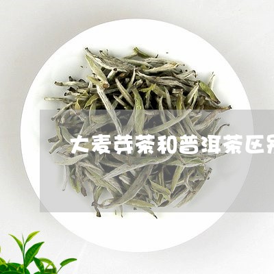 大麦芽茶和普洱茶区别是什么/2023082979381