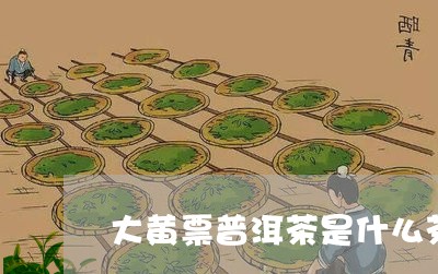 大黄票普洱茶是什么茶/2023080320704