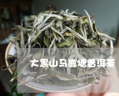 大黑山马鹿塘普洱茶/2023110394147