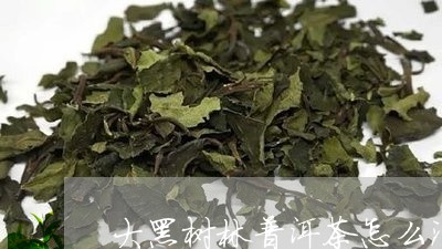 大黑树林普洱茶怎么泡/2023120652713