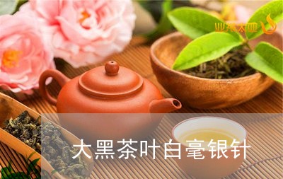 大黑茶叶白毫银针/2023090645037