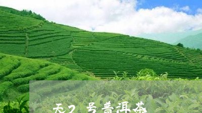 天2号普洱茶/2023042852952