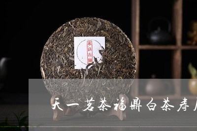 天一茗茶福鼎白茶寿眉/2023120600614