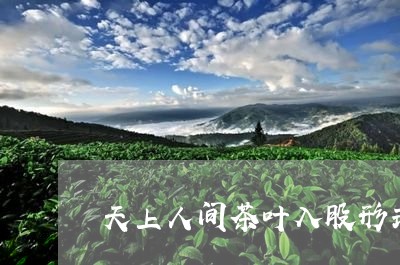 天上人间茶叶入股形式/2023071691517