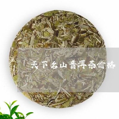 天下名山普洱茶价格/2023101628281