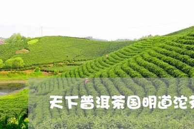 天下普洱茶国明道沱茶/2023062922046