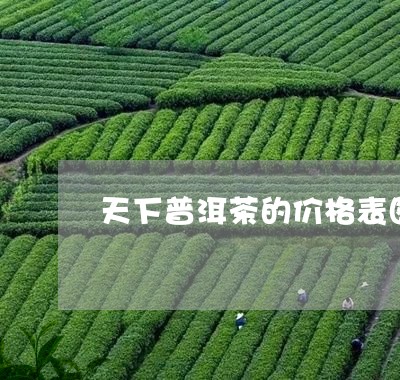 天下普洱茶的价格表图片大全/2023110272595