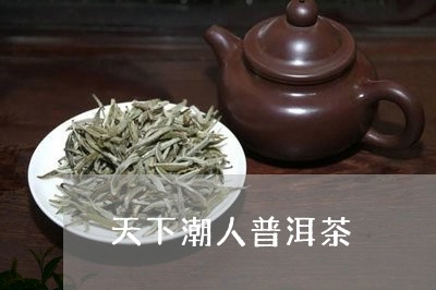 天下潮人普洱茶/2023120369481