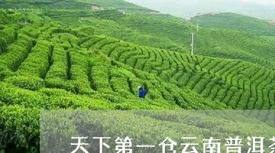 天下第一仓云南普洱茶/2023092618350