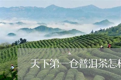 天下第一仓普洱茶怎样/2023072127269