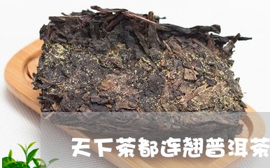 天下茶都连翘普洱茶/2023091450581