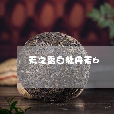 天之香白牡丹茶6/2023090634936