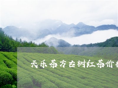 天乐茶方古树红茶价格/2023060982793