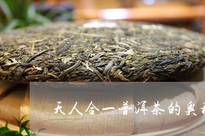 天人合一普洱茶的奥秘/2023092782725