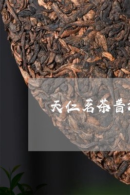 天仁茗茶普洱茶价格表/2023062918582