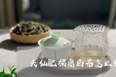 天仙配福鼎白茶怎么样/2023120766068