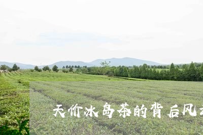 天价冰岛茶的背后风云/2023061170516