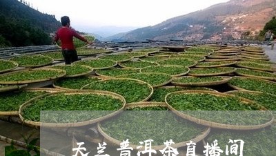 天兰普洱茶直播间/2023112652936