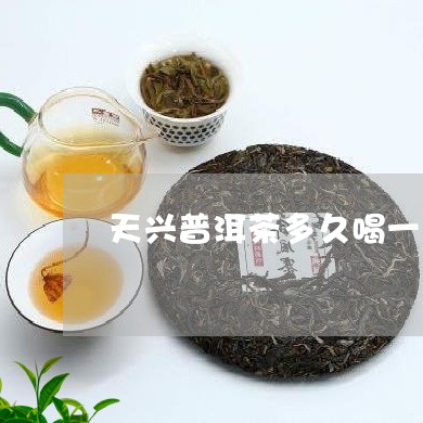 天兴普洱茶多久喝一次/2023092785261