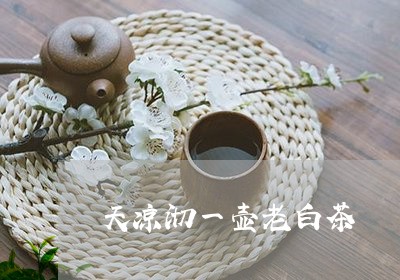 天凉沏一壶老白茶/2023061707382