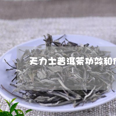 天力士普洱茶功效和作用/2023110553725