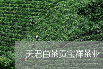 天君白茶贡宝祥茶业/2023081346261