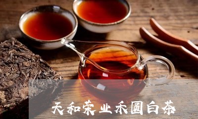 天和荣业禾圆白茶/2023061731401